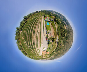 Quinta da Timpeira | Lamego Visita Virtual Turismo